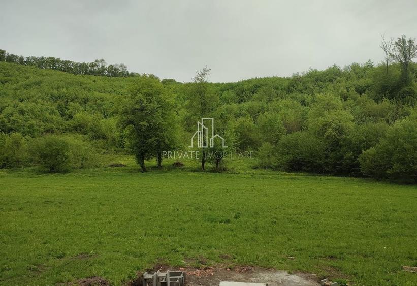 Teren agricol extravilan de 20 mp, în Daneș