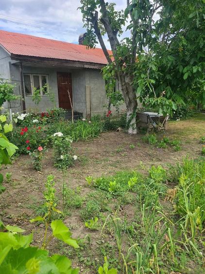 Casă cu 6 camere cu Teren 2 Mp în Parepa-Rușani