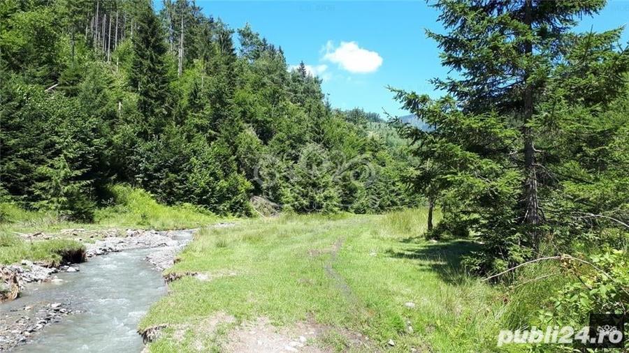 Teren de 63000 mp, în Bughea de Sus