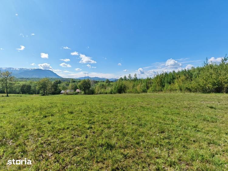 Teren de 5967 mp, în Glăjărie
