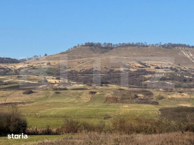 Teren de 13374 mp, în Central