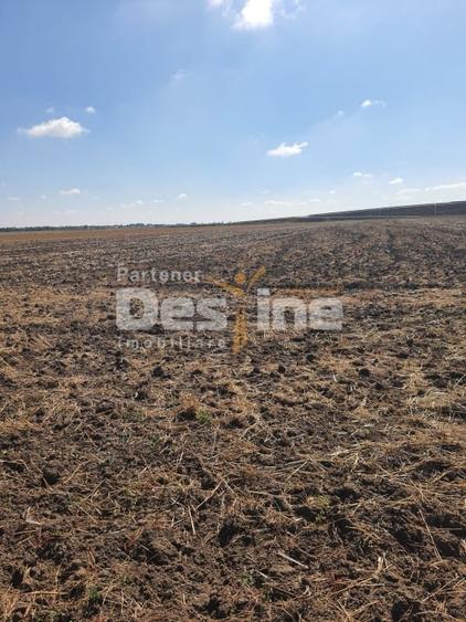 Teren agricol extravilan de 7802 mp, în Domnești