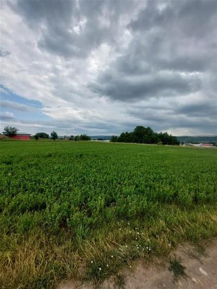 Teren agricol intravilan de 4800 mp, în Târgu Trotuș