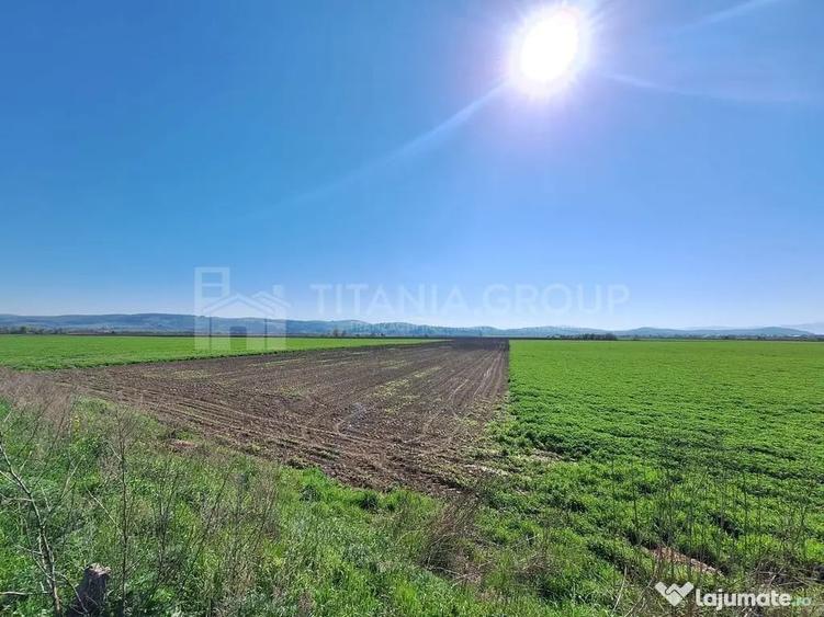 Teren extravilan, 8700 mp, pretabil agricultura sau inve... - 5