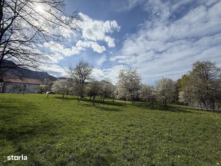 Teren intravilan 1355 mp in zona Bran, judetul Brasov - 9