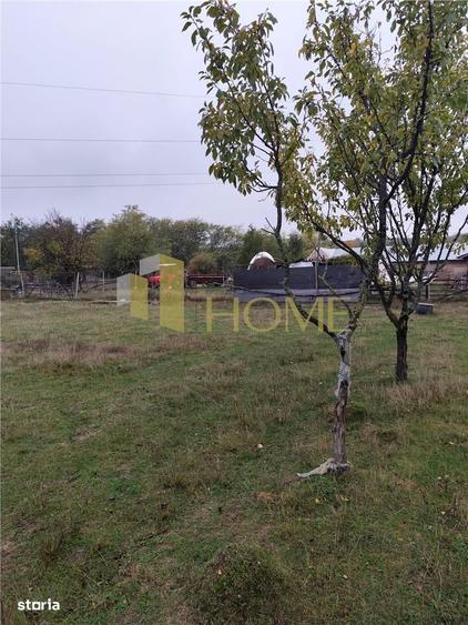 Casă cu 4 camere cu Teren 11250 Mp în Teișani