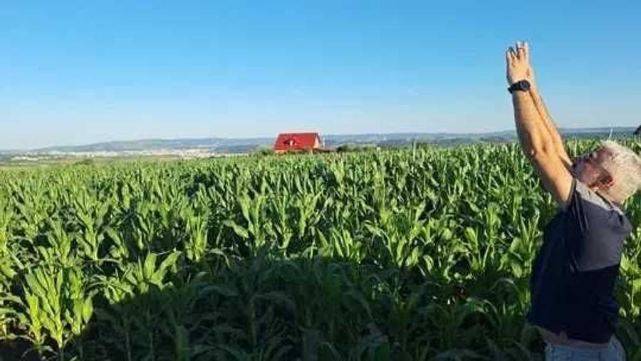 Teren de 810 mp, în Rediu