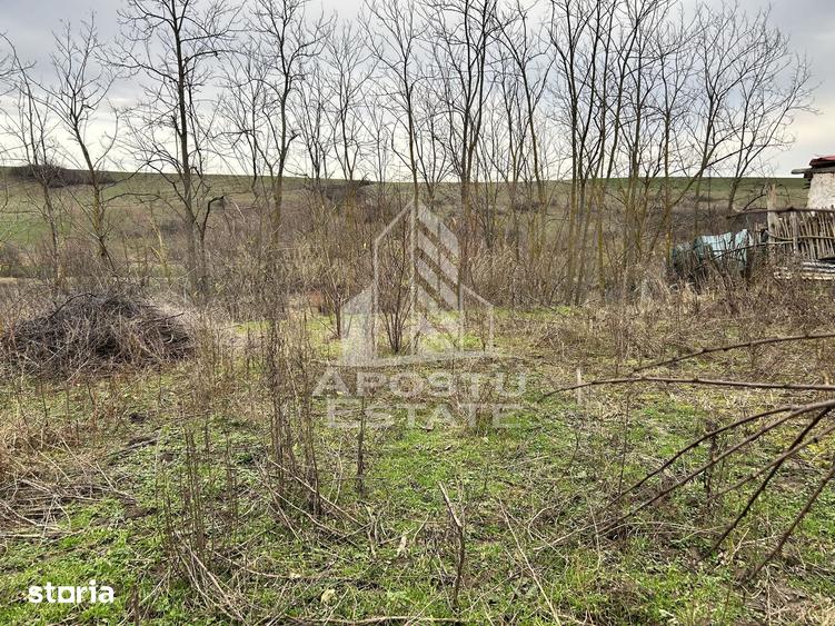 Teren de 1942 mp, în Central