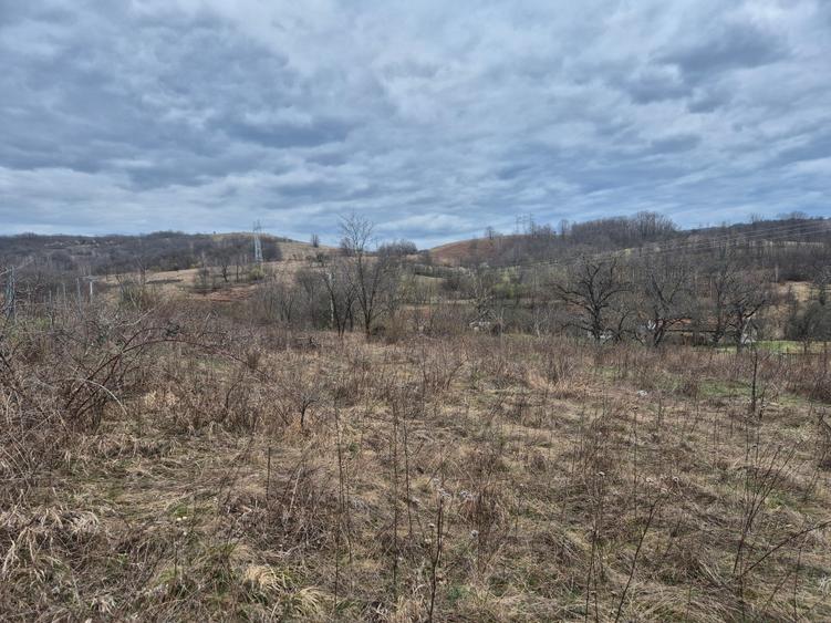 Teren agricol extravilan de 11400 mp, în Iabalcea