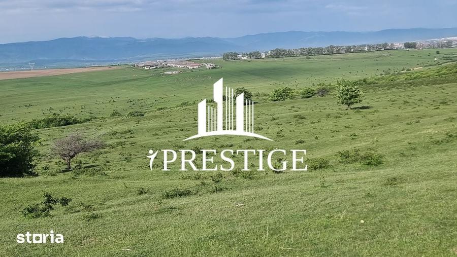 Teren de 2000 mp, în Trei Stejari