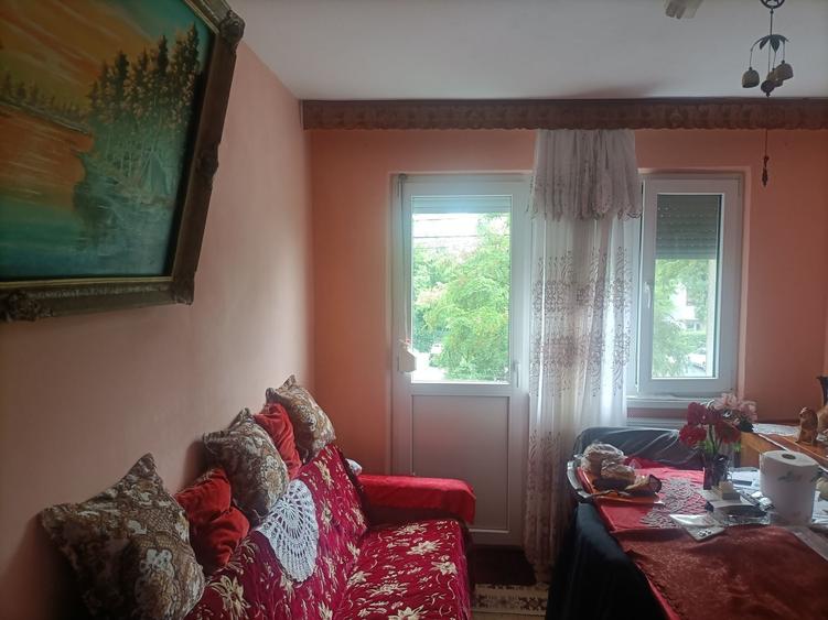 Apartament cu 2 camere semidecomandat în Sârbi
