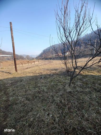 Casă cu 3 camere cu Teren 3081 Mp în Băița