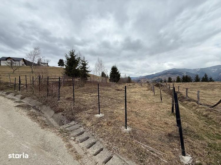Teren de 1700 mp, în Albac