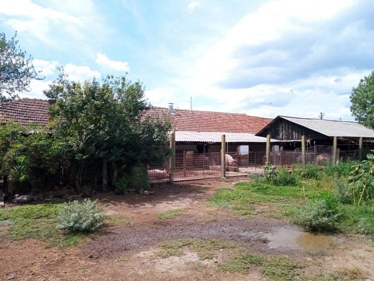 Spațiu industrial, de 317.60000610352 mp, în Nădlac