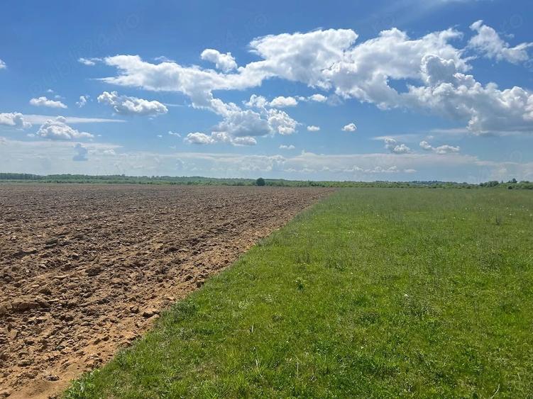 Teren de 8700 mp, în Bordenii Mici