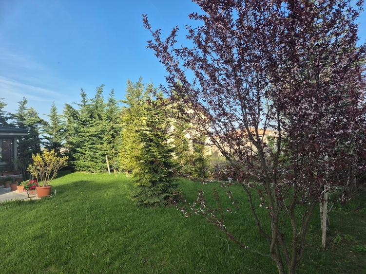 Casă individuală cu 6 camere cu Teren 570 Mp în Șanțu-Florești
