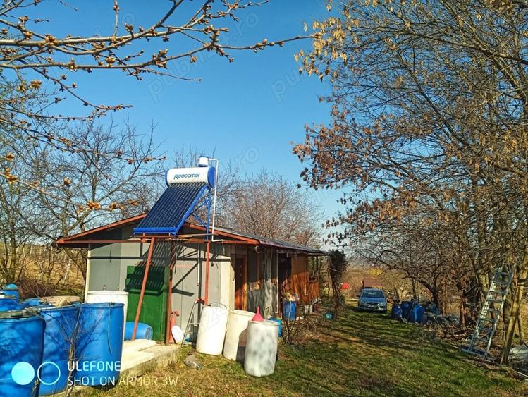 Teren în Goruni