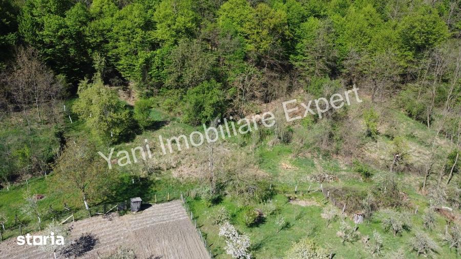 Teren de 1267 mp, în Curtea de Argeș