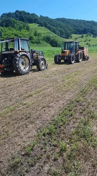 Teren de 51200 mp, în Viișoara