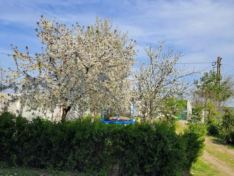 Casă cu 6 camere cu Teren 5600 Mp în Potlogi