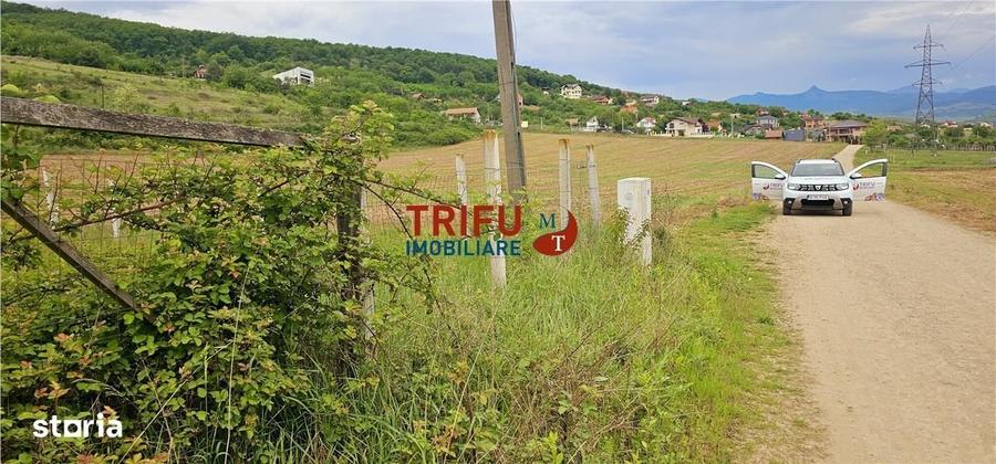 Teren Ideal pentru Construirea Casei de Vis, 1400 mp cu Vedere spre Pa - 3
