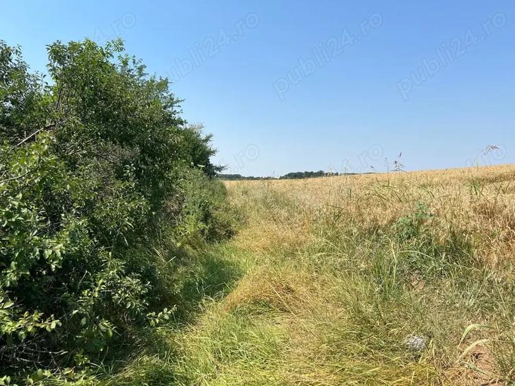 Teren de 4000 mp, în Ciolpani