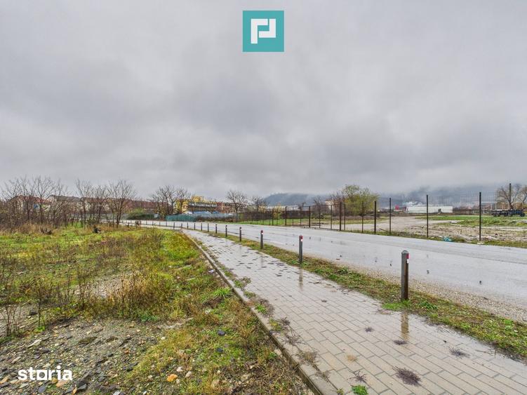 Teren de 4131 mp, în Pleșcuța