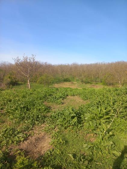 Casă cu 3 camere în Rusca