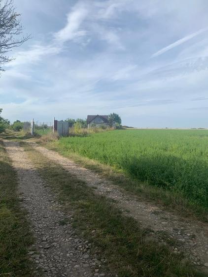 Teren Construcții intravilan de 8655 mp, în Dascălu