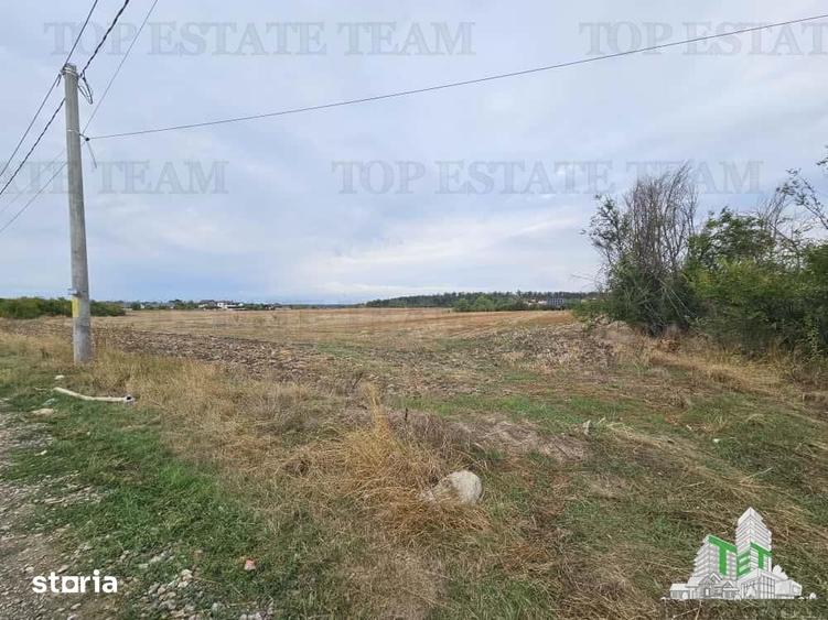 Teren de 3000 mp, în Brănești