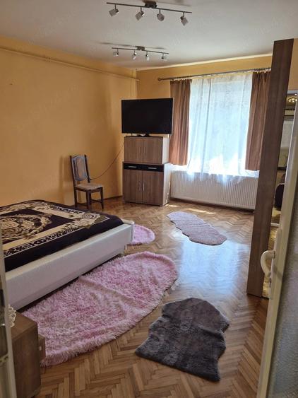 Casa de vanzare Lugoj - 8