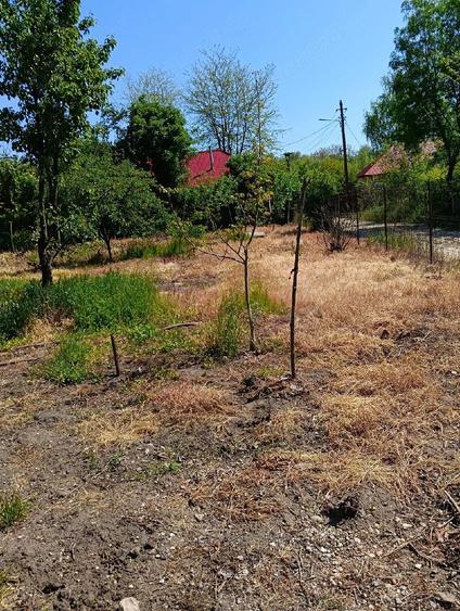 Casă cu Teren 1100 Mp în Ștorobăneasa