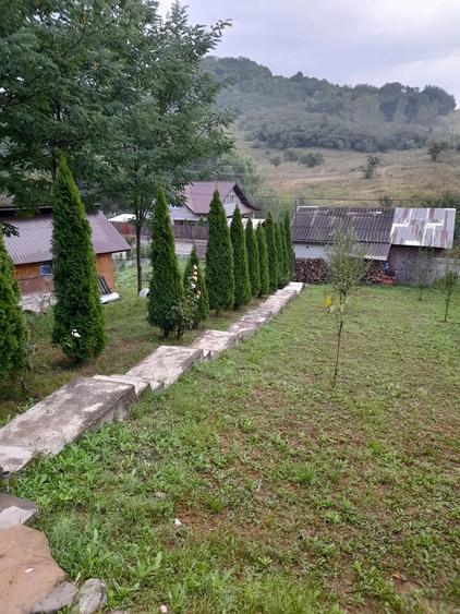 Casă cu Teren 2000 Mp în Ariceștii Zeletin