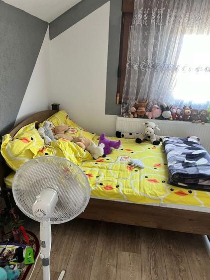 Casă cu 3 camere în Săsar
