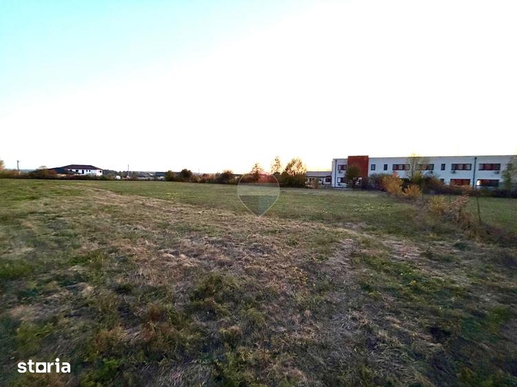 Teren de 1500 mp, în Coltău