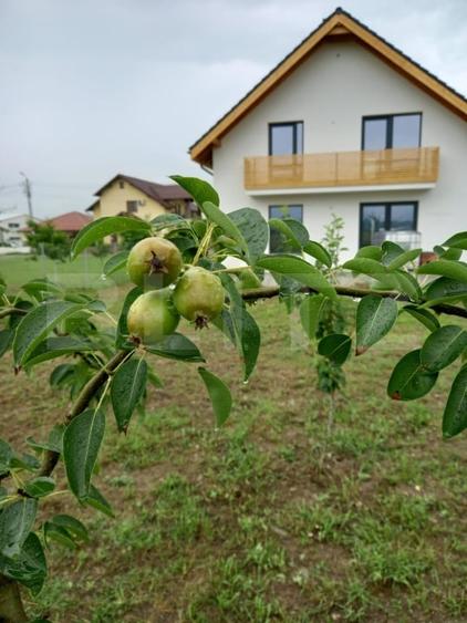 Casă individuală cu 4 camere cu Teren 692 Mp în Mihai Viteazu
