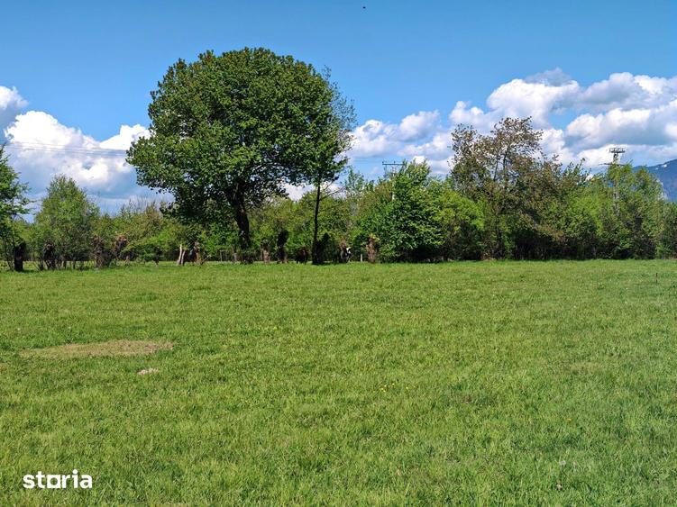 Teren de 5967 mp, în Glăjărie