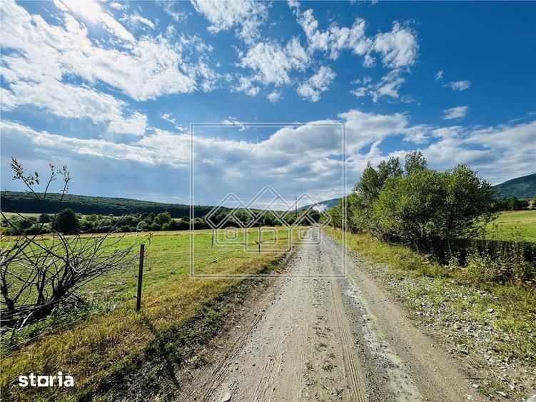 Teren intravilan, 5861 mp - Tocile - 7