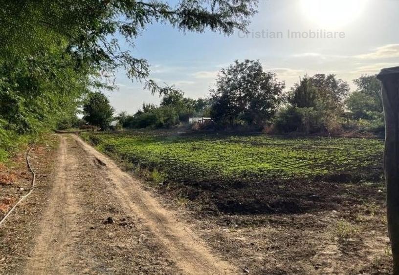 Teren intravilan de 522 mp, în Cazasu