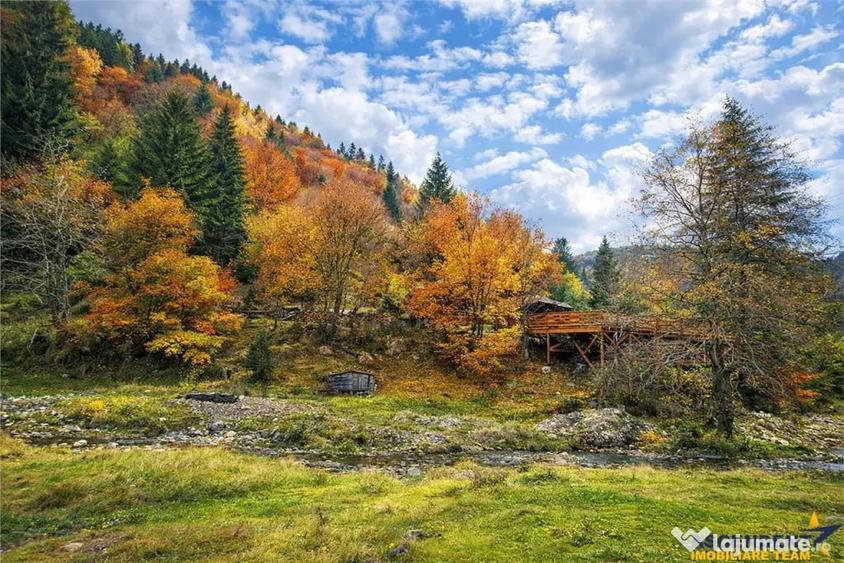 Teren în Zărnești