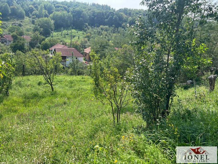 Teren Construcții intravilan de 669 mp, în Ampoița