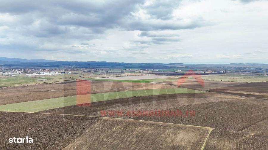 Teren de 50400 mp, în Șura Mică