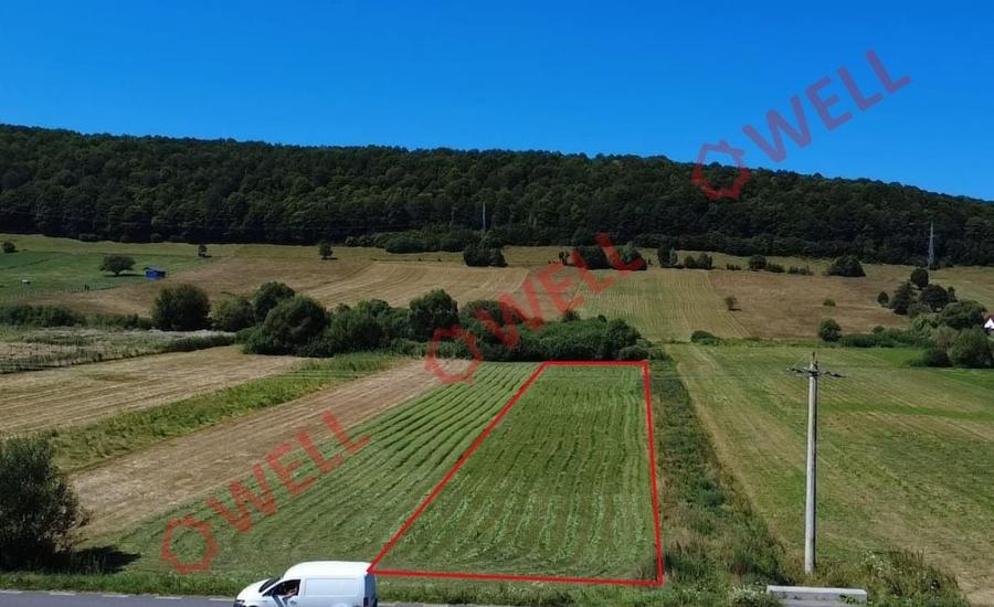 Teren extravilan de 3450 mp, în Valea Mare