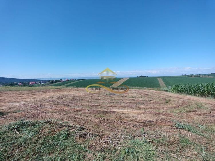 Casă individuală cu 1 camere cu Canalizare în Traian