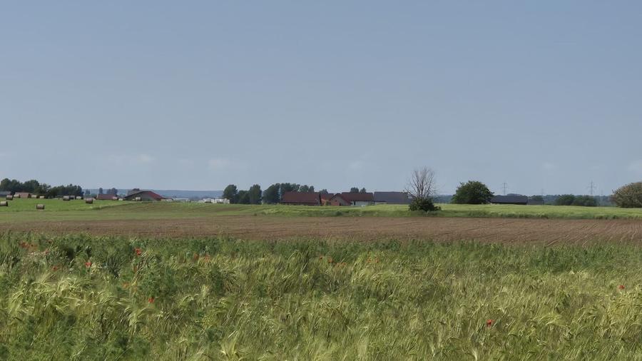Teren agricol extravilan de 5000 mp, în Berceni