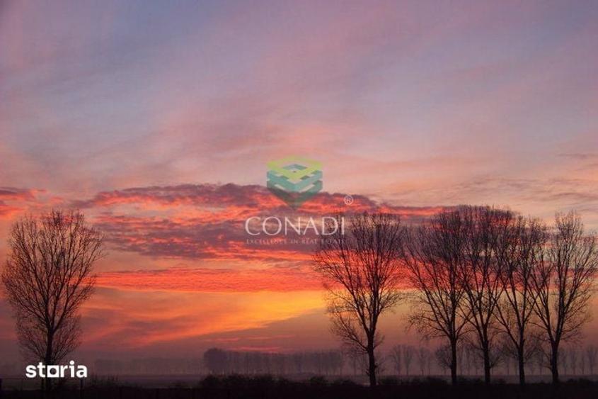 Teren de 2270000 mp, în Ciocănești