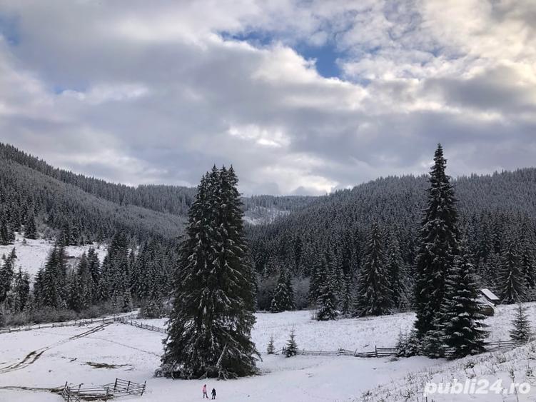 Teren de 6000 mp, în Panaci