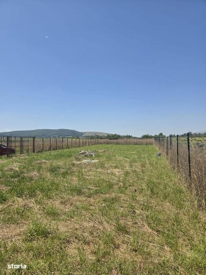 Teren de 520 mp, în Saciova