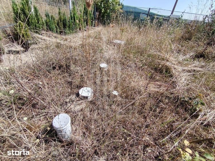 TEREN INTRAVILAN DE VANZARE VALEA AVRIGULUI | 1.913 MP - 11