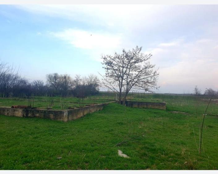 Casă cu 2 camere în Central
